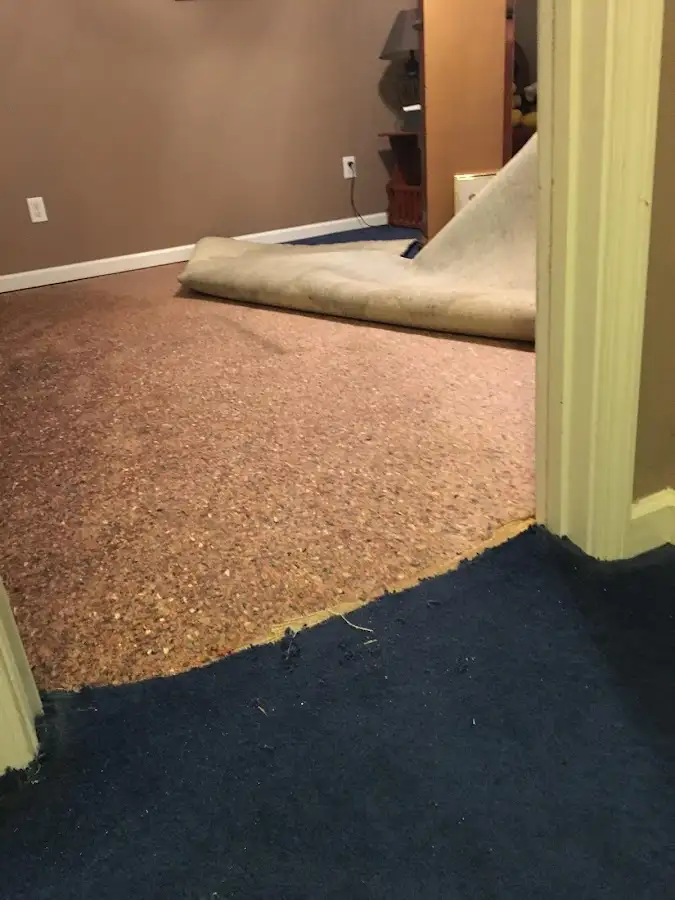 Carpet pad removal revealing water damage during Water Mitigation Services in Farmington